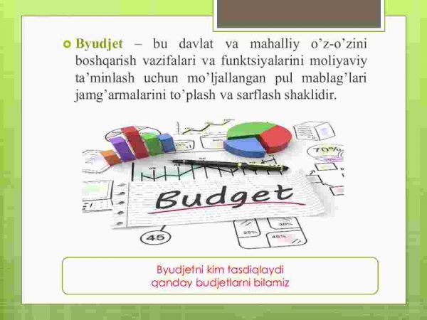 Byudjеt-sоliq siyosаti - Image 3