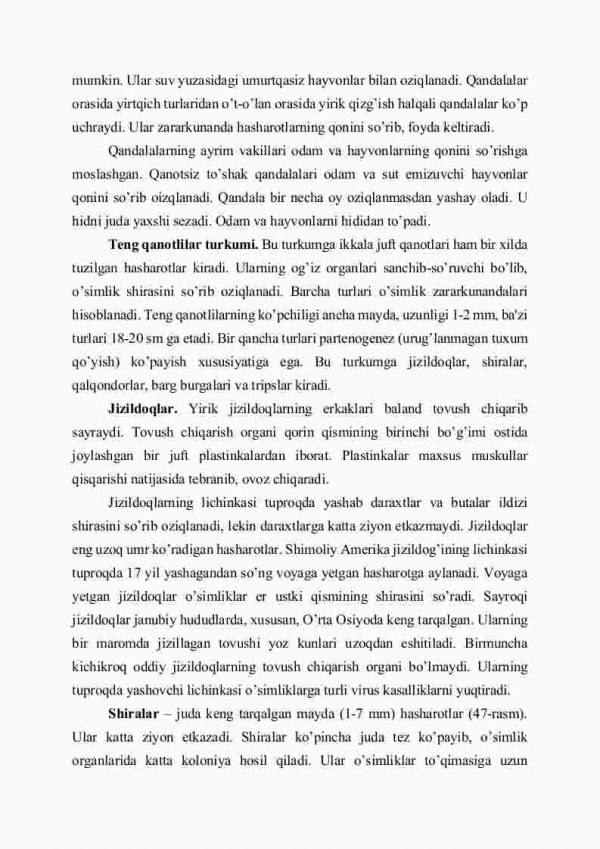Chala o'zgarish bilan rivojlanadigan hasharotlar: ninachilar, yarim qattiq qanotlilar, teng qanotlilar turkumlari - Image 3