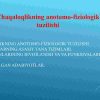 Chaqaloqlikning anotomo-fiziologik tuzilishi