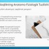 Chaqaloqlikning anotomo-fiziologik tuzilishi - Image 2