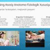 Chaqaloqlikning anotomo-fiziologik tuzilishi - Image 3