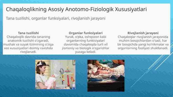 Chaqaloqlikning anotomo-fiziologik tuzilishi - Image 3