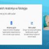 Chaqaloqlikning anotomo-fiziologik tuzilishi - Image 4