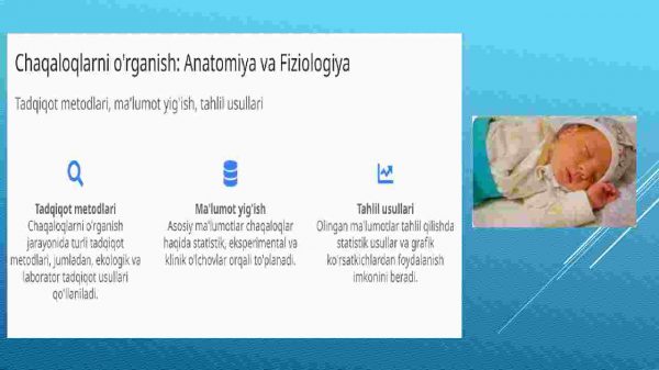 Chaqaloqlikning anotomo-fiziologik tuzilishi - Image 4