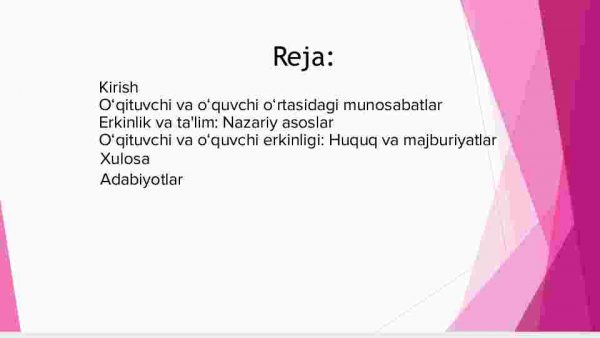 Demokratik jamiyatda o‘qituvchi va o‘quvchi munosabatida erkinlik tushunchasi - Image 2
