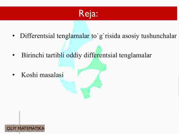Differentsial tenglamalar to'g'risida asosiy tushunchalar. Birinchi tartibli differentsial tenglamalar uchun Koshi masalasi - Image 2