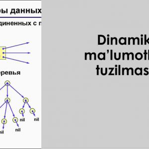 Dinamik ma'lumotlar tuzilmasi