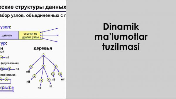 Dinamik ma'lumotlar tuzilmasi