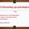 E.Eriksonning ego-psixologiyasi