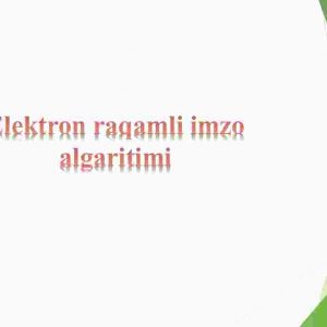 Elektron raqamli imzo algaritimi