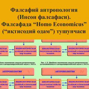 Falsafiy antropologiya ​(Inson falsafasi). ​Falsafada “Homo Economicus” (“iqtisodiy odam”) tushunchasi