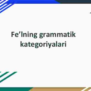 Feʼlning grammatik kategoriyalari