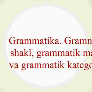 Grammatika. Grammatik shakl, grammatik ma’no va grammatik kategoriya