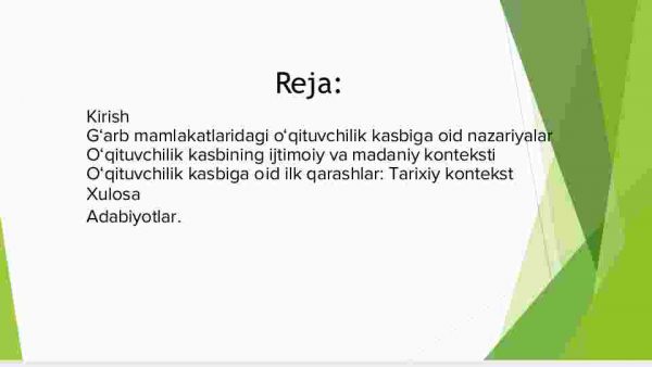 G‘arb mamlakati allomalarining o‘qituvchilik kasbiga oid ilk qarashlari - Image 2