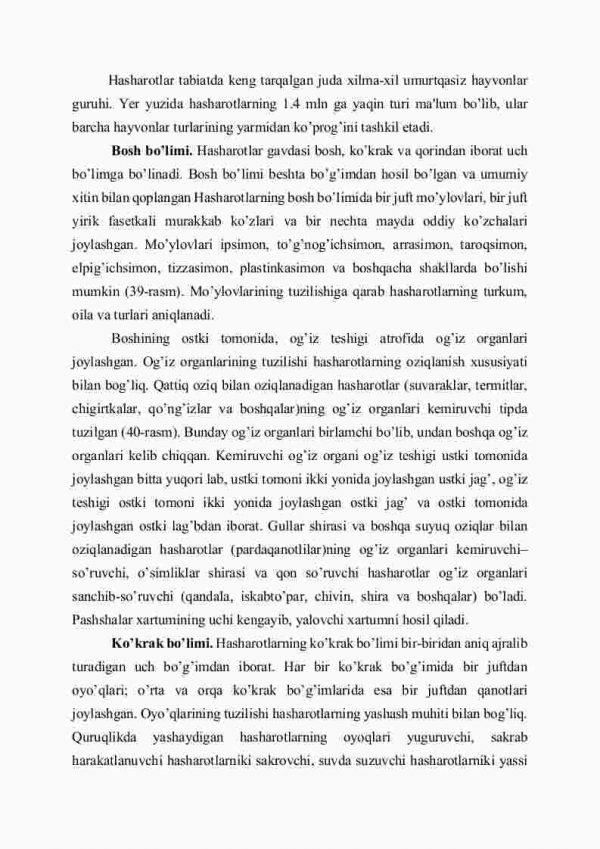 Hasharotlar sinfi, tashqi va ichki tuzilishi - Image 2