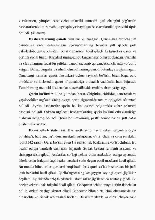 Hasharotlar sinfi, tashqi va ichki tuzilishi - Image 3