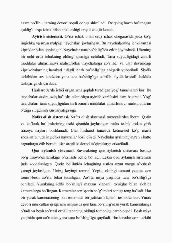 Hasharotlar sinfi, tashqi va ichki tuzilishi - Image 4