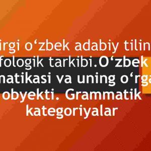 Hozirgi o'zbek adabiy tilining morfologik tarkibi. O'zbek tili grammatikasi va uning o'rganish obyekti. Grammatik kategoriyalar