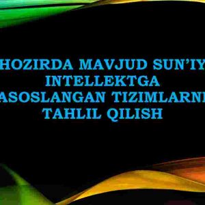 Hozirda mavjud sun'iy intellektga asoslangan tizimlarni tahlil qilish