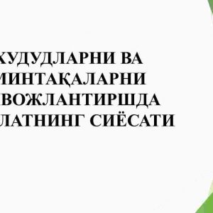 Hududlarni va mintaqalarni rivojlantirishda davlatning siyosati