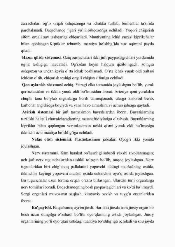 Ikki pallali molluskalar sinfi - Image 3