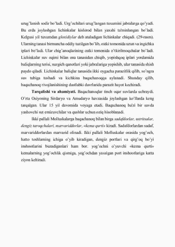 Ikki pallali molluskalar sinfi - Image 4
