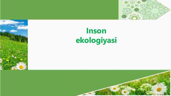 Inson ekologiyasi
