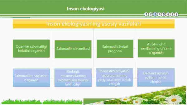 Inson ekologiyasi - Image 4
