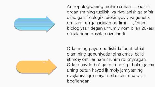 Inson falsafasi.​ Falsafiy antrapologiya - Image 4