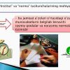 Institutlar va ularning jamiyat rivojlanishidagi roli - Image 3