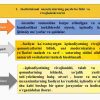 “Institutsional iqtisodiyot” fanining predmeti va mazmuni, tamoyillar - Image 3