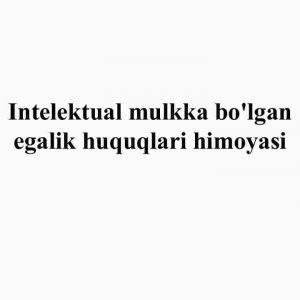 Intelektual mulkka bo'lgan egalik huquqlari himoyasi