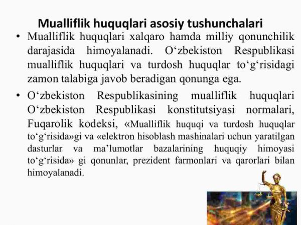 Intelektual mulkka bo'lgan egalik huquqlari himoyasi - Image 3