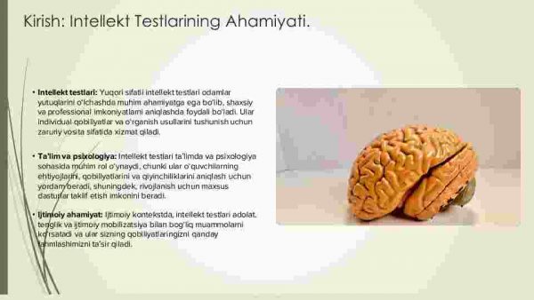 Intellekt testlarining qo’llanishi bilan bog’liq muammolar - Image 3