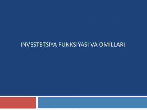Investitsiya funksiyasi va omillari