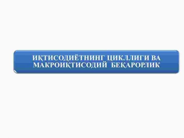 Iqtisodiyotning siklligi va makroiqtisodiy beqarorlik