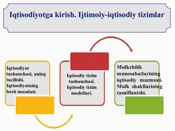 Iqtisodiyotga kirish. Ijtimoiy-iqtisodiy tizimlar