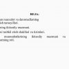 Ish haqi va mehnat munosabatlari - Image 2
