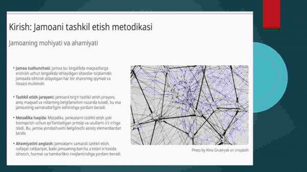 Jamoani tashkil etish metodikasi - Image 3