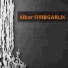 Kiber fribgarlik