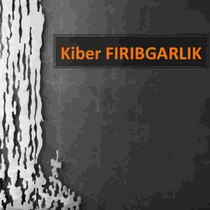 Kiber fribgarlik