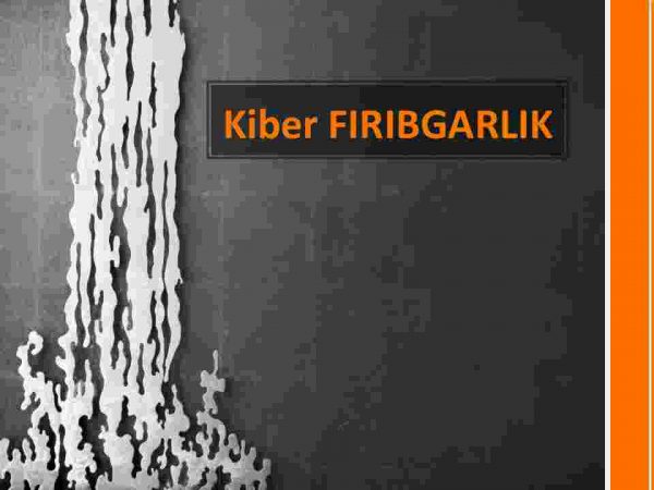 Kiber fribgarlik