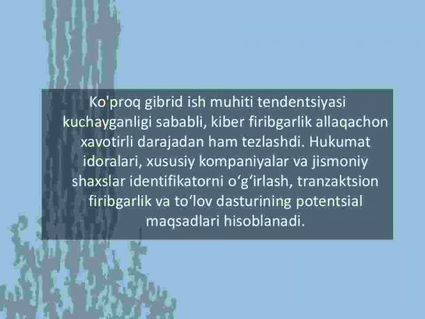 Kiber fribgarlik - Image 2