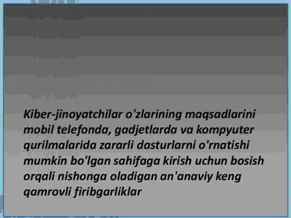 Kiber fribgarlik - Image 3