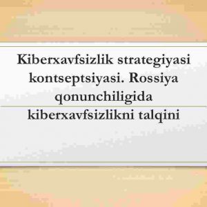 Kiberxavfsizlik strategiyasi kontseptsiyasi. Rossiya qonunchiligida kiberxavfsizlikni talqini