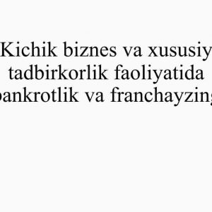 Kichik biznes va xususiy tadbirkorlik faoliyatida bankrotlik va franchayzing