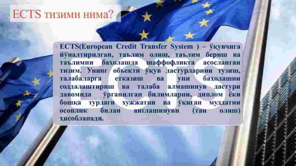 Kredit-modul tizimi, uning asosiy tamoyillari, oliy ta'lim tizimidagi ahamiyati va taalluqli ayrim masalalar - Image 4