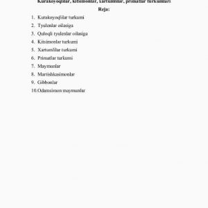 Kurakoyoqlilar, kitsimonlar, xartumlilar, primatlar turkumlari