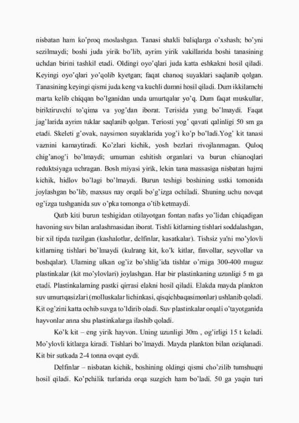 Kurakoyoqlilar, kitsimonlar, xartumlilar, primatlar turkumlari - Image 3