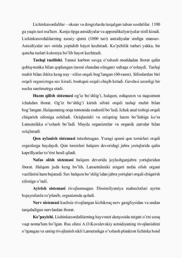 Lichinkaxordalilar, ya'ni qobiqlilar kеnja tipi - Image 2